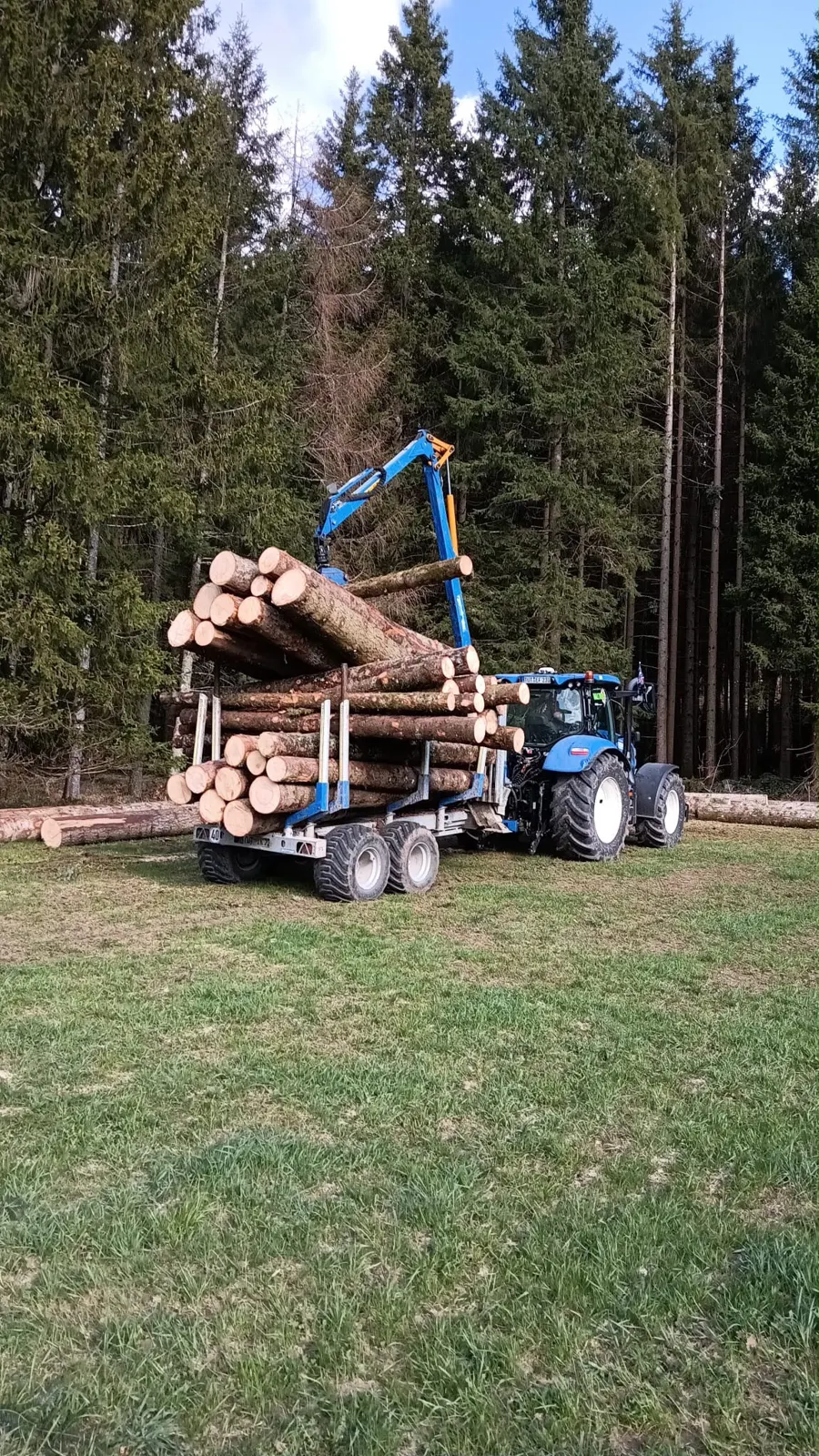 Traktor mit Rückewagen und Stammholz auf einer Wiese